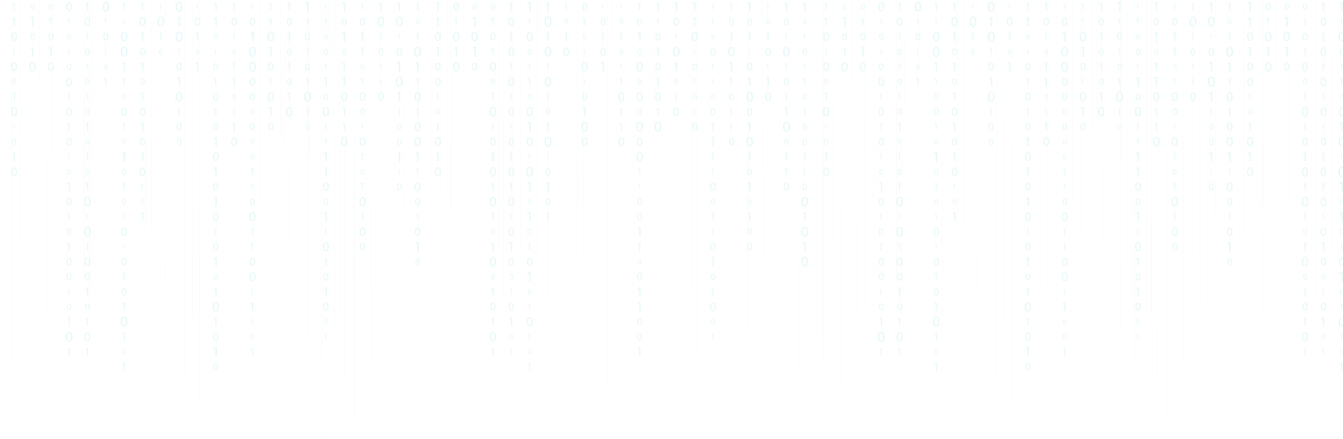 Senior {Full Stack}Web Application Developer